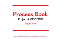 Mag Process Book