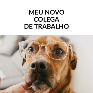 Gerador de memes online: crie memes grátis | Adobe Spark
