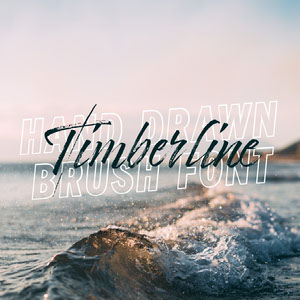32 Cool Calligraphy Script Fonts Adobe Spark