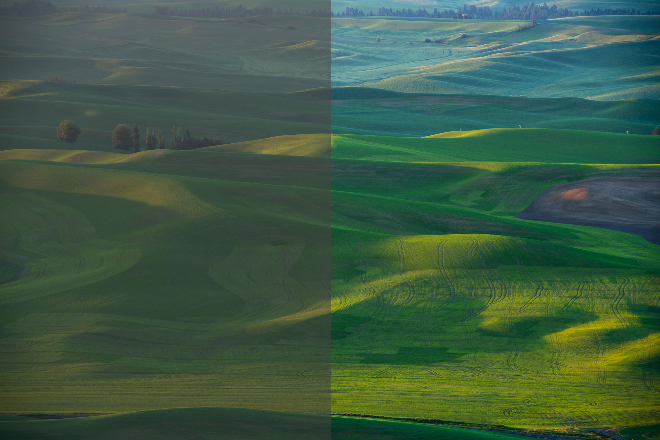 Improving a Landscape Photos with Curves & Clarity | Tutorial | Adobe ...