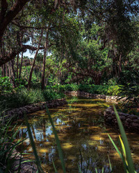 Everglade Garden Stream