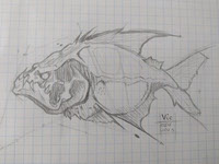 Piranha sketch
