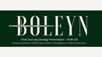 Final Sourcing Strategy - Boleyn