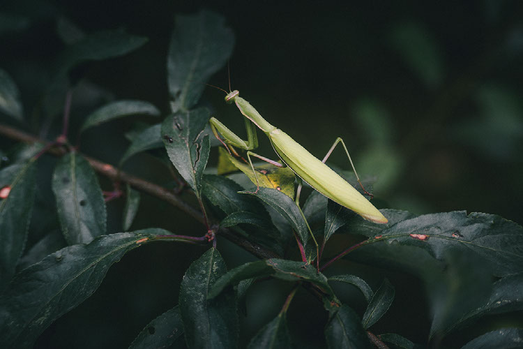 Improve your photography skills | Adobe Lightroom