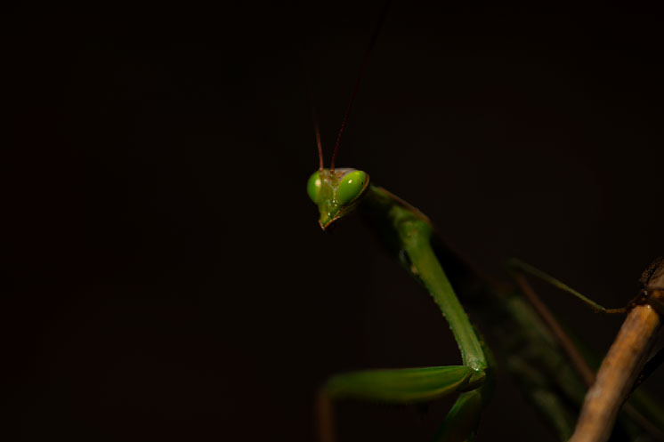 Improve your photography skills | Adobe Lightroom