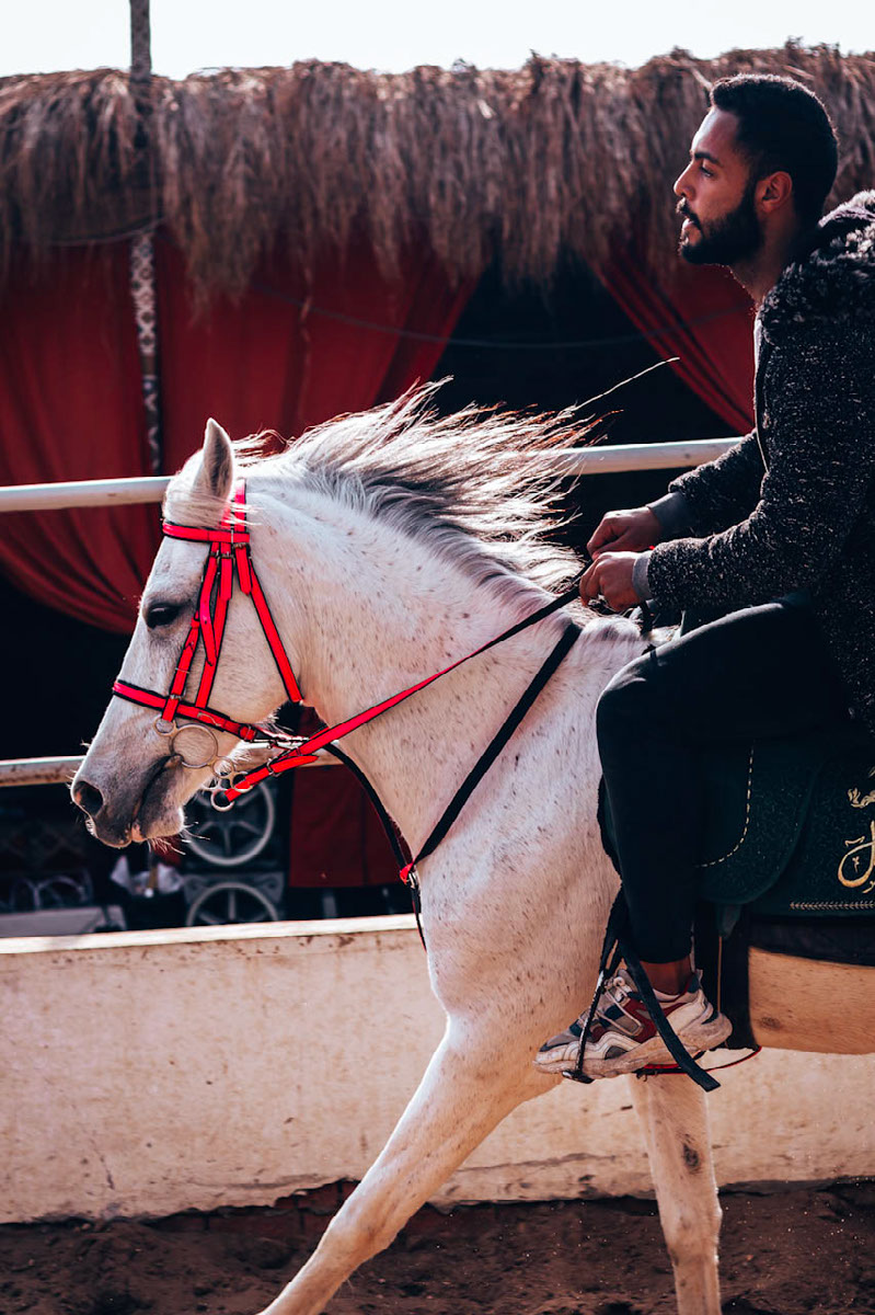 Man riding horse | Edit | Photoshop Lightroom