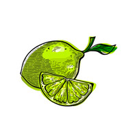 Lime Illustration Clear Background