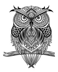 Owl Without COLOUR