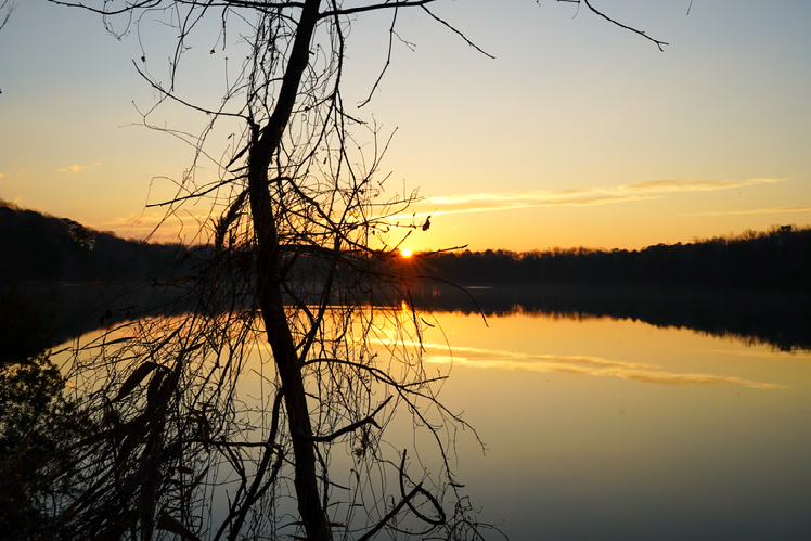Improve your photography skills | Adobe Lightroom