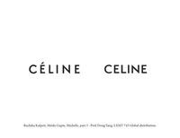 Celine - Global Expansion Project
