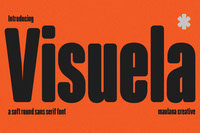 Free Visuela Sans Display Font