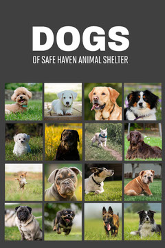 Free Customizable Dog Templates Adobe Spark