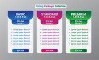 Pricing packages collection design