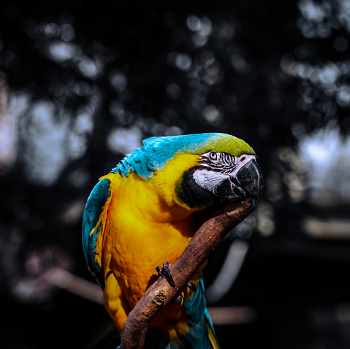 Improve your photography skills | Adobe Lightroom