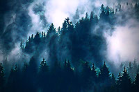 Misty Mountains -JPG_PDF_PNG