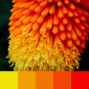 101 Brilliant Color Combinations For 2020 Adobe Spark See more ideas about orange aesthetic, orange, aesthetic. adobe spark