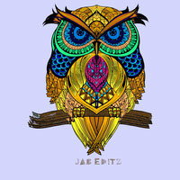 Owl Colored