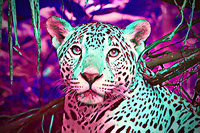 Neon Jaguar -JPG_PDF_PNG