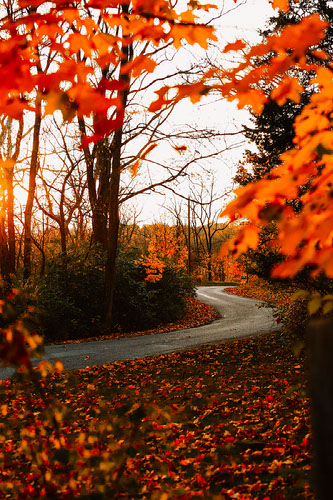 Improve your photography skills | Adobe Lightroom