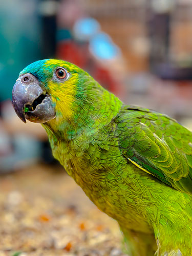Improve your photography skills | Adobe Lightroom