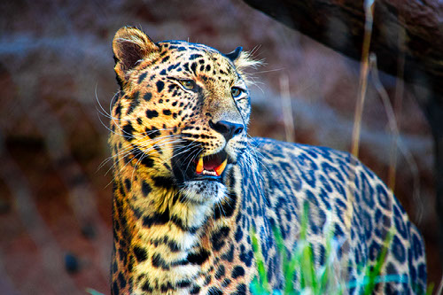 Improve your photography skills | Adobe Lightroom