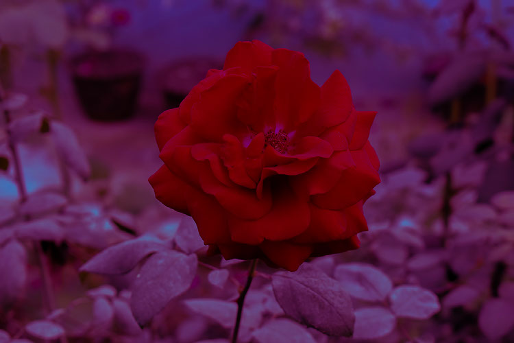 Improve your photography skills | Adobe Lightroom