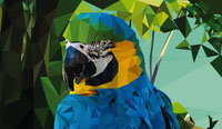 Parrot Low Poly