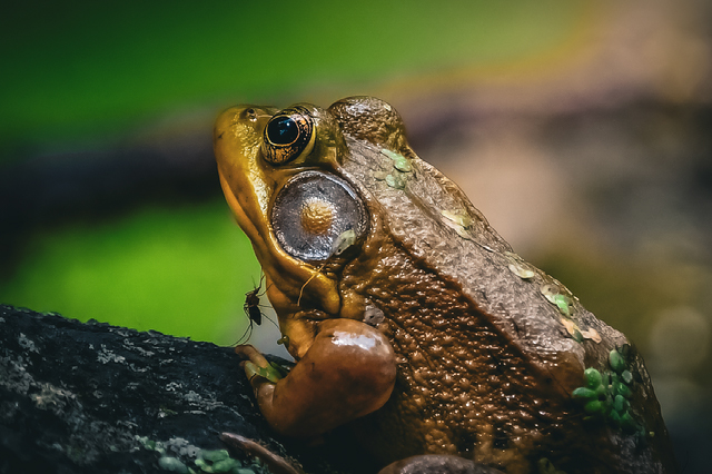 Improve your photography skills | Adobe Lightroom