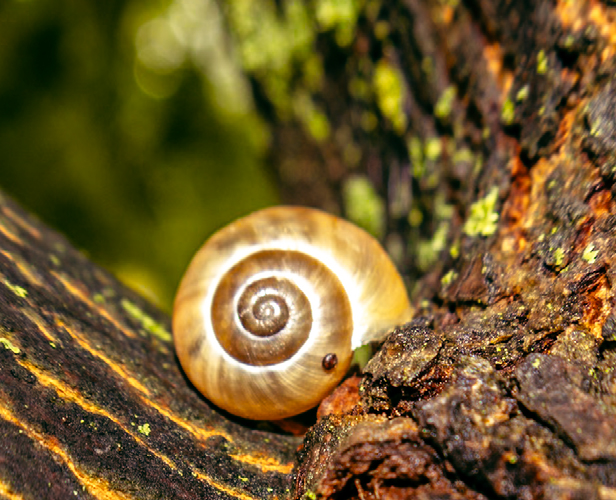 Improve your photography skills | Adobe Lightroom