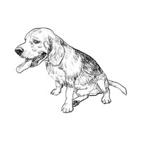 drawing of beagle dog