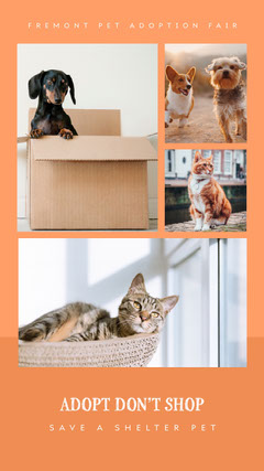 Pet Adoption Flyer Template from cdn.cp.adobe.io