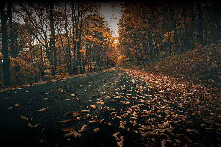 Improve your photography skills | Adobe Lightroom