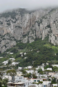 The Island of Capri Home screen Photo