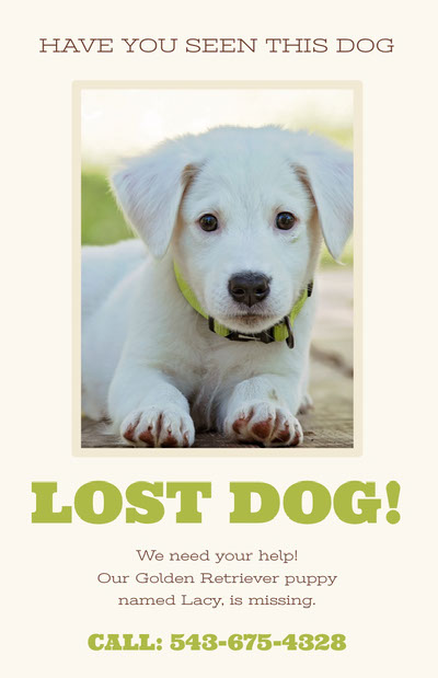 Free Missing Poster Templates | Adobe Express