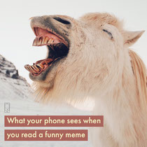 Meme Generator Unblocked Free