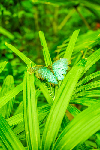 Improve your photography skills | Adobe Lightroom