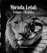 Mirada Letal_Felinos y Reptiles