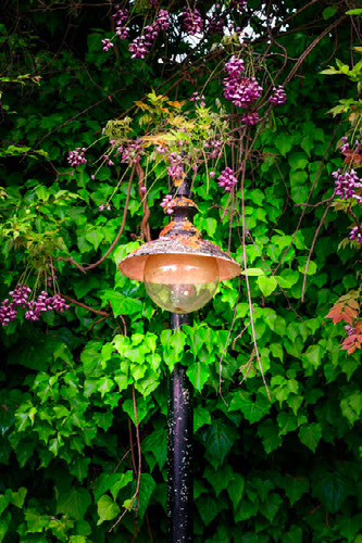 Improve your photography skills | Adobe Lightroom