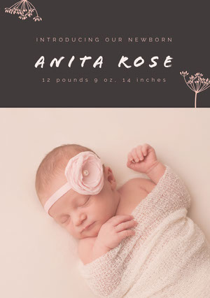Free Birth Announcement Templates Adobe Spark