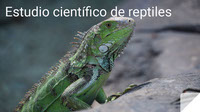 Estudio_cientifico_reptiles