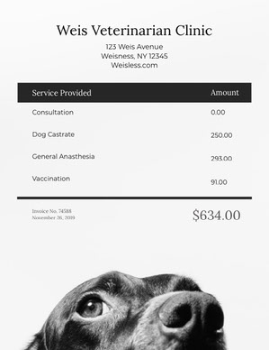 Image 8 for Veterinary Invoice Template