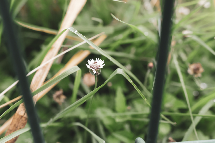 Improve your photography skills | Adobe Lightroom