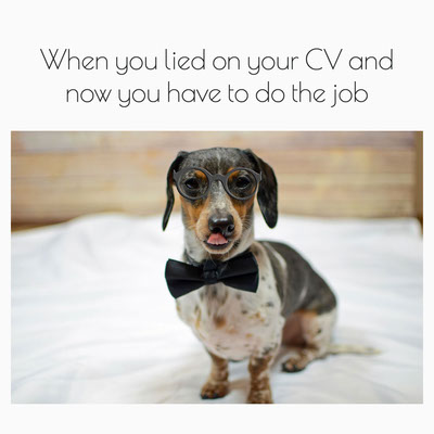 9 Funny Dog Memes And Templates | Adobe Express