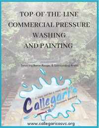 Callegari Commerciale Proposal
