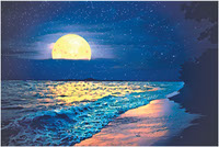 Moonlit Sky On The Beach -JPG_PDF_PNG