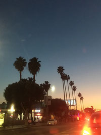 LA Sunset