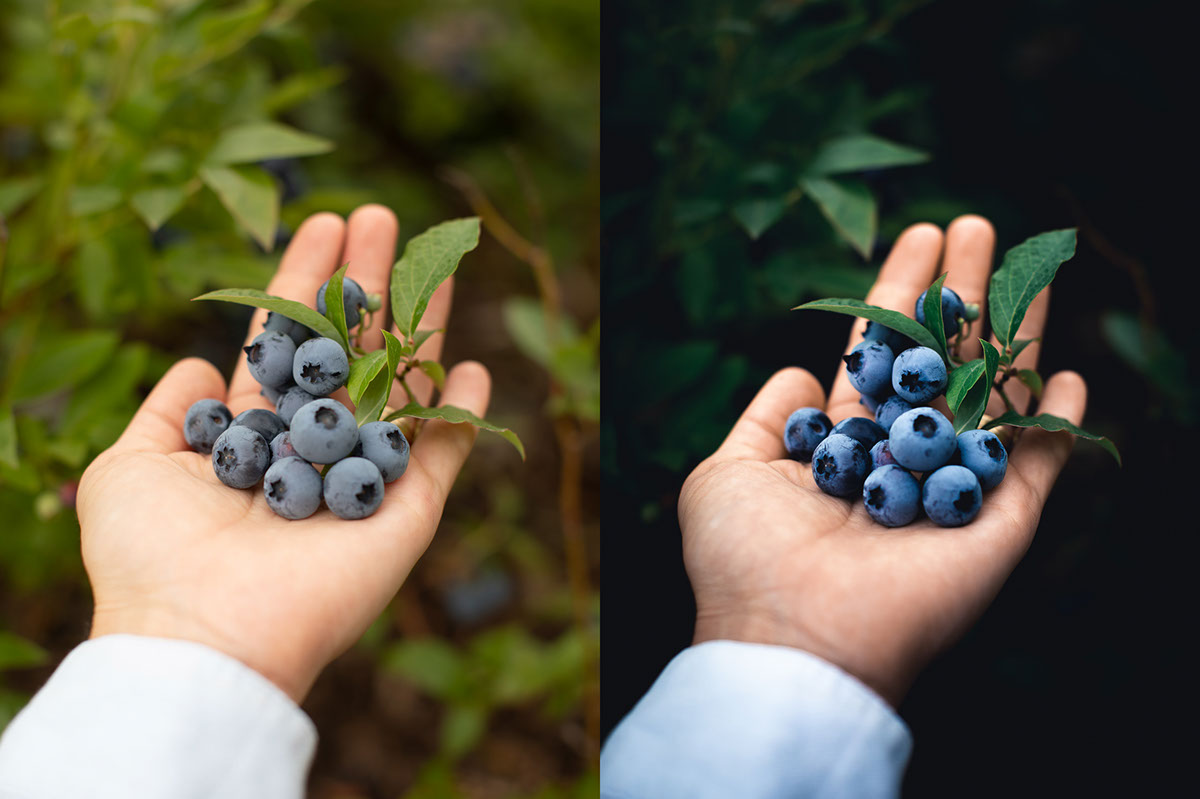 Adding Contrast to a Flat Image | Tutorial | Adobe Lightroom