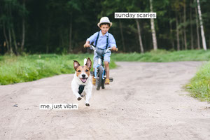 Free Meme Templates Adobe Spark See more ideas about meme template, memes, great memes. adobe spark