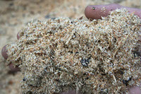 Hand with sawdust