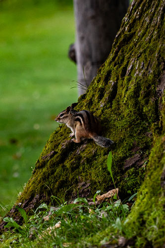 Improve your photography skills | Adobe Lightroom